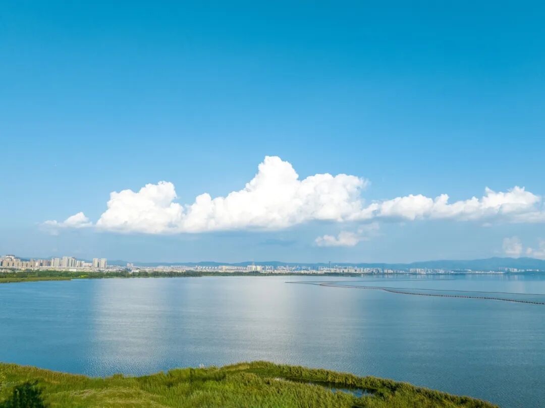 滇池宝丰湿地 蓝天白云下的城市。资料图.jpg