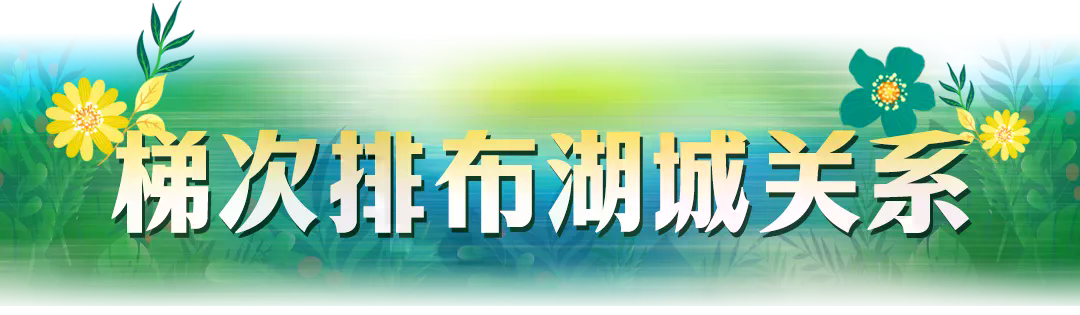 3.webp