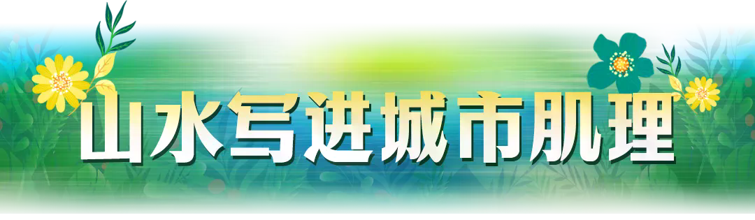 5.webp