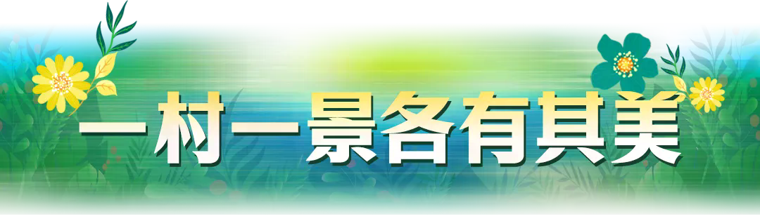 7.webp