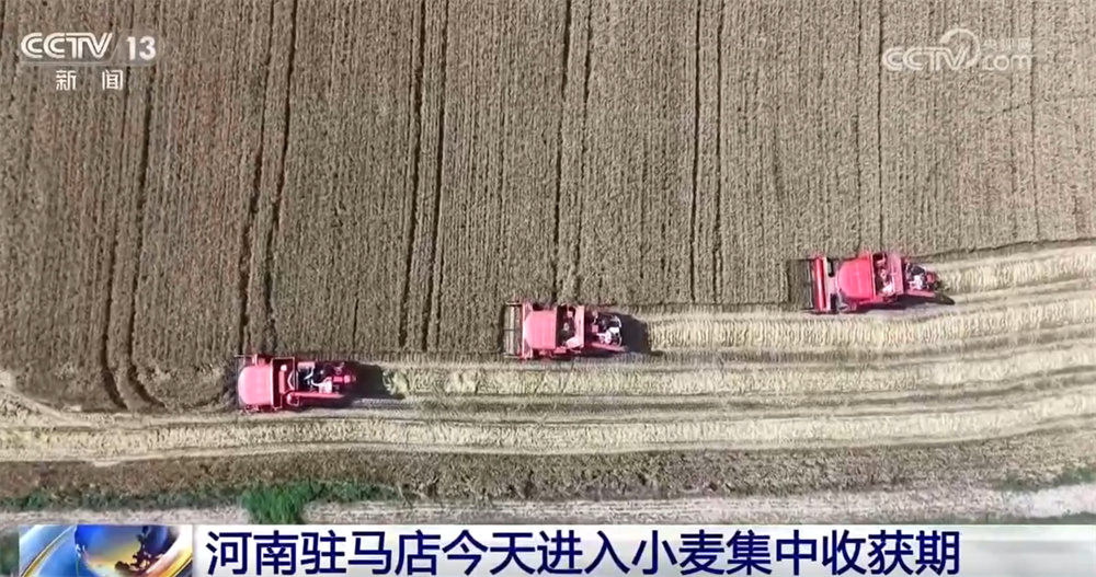 从“三夏”麦收地图看全国大规模小麦机收“时刻表” 多举措减损助丰收 从“三夏”麦收地图看全国大规模小麦机收“时刻表” 多举措减损助丰收