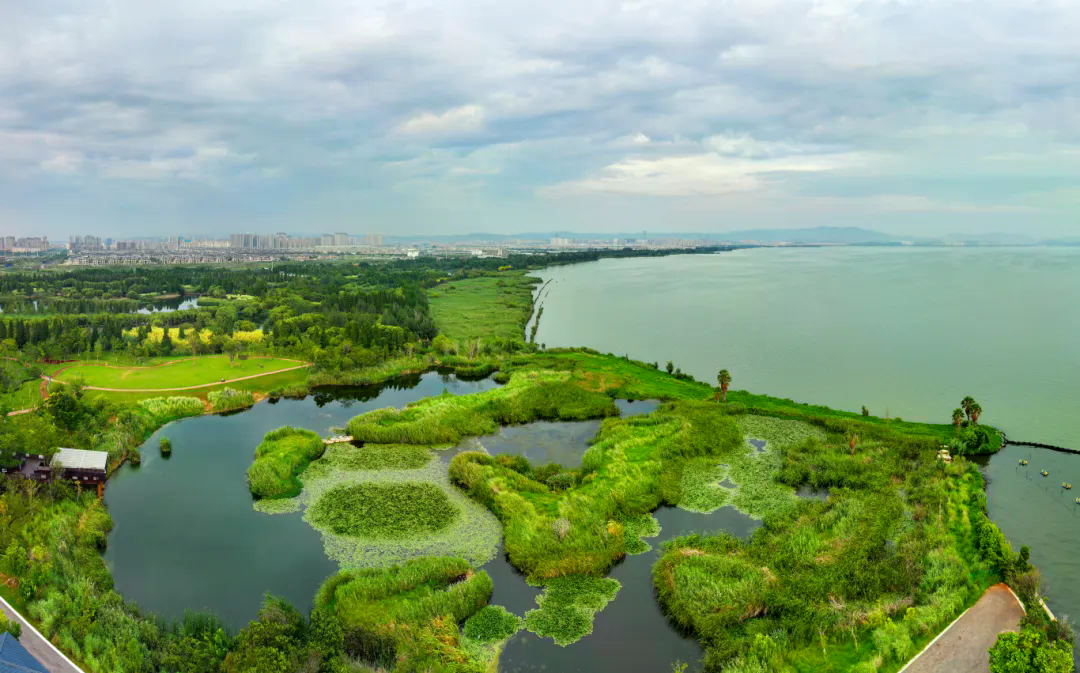宝丰湿地公园。周密摄 (1).JPG