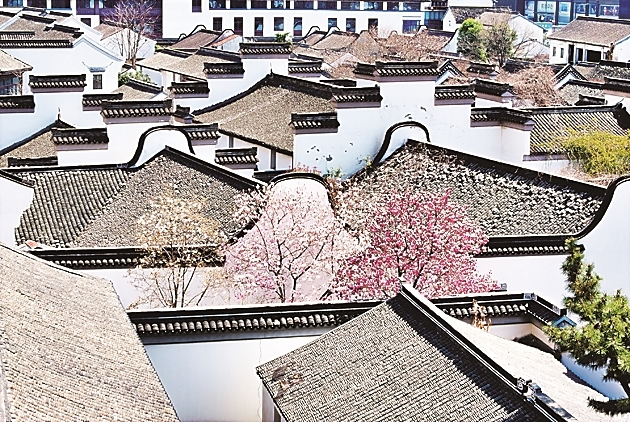 “古建游”缘何出圈走红 “古建游”缘何出圈走红