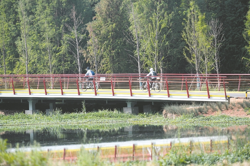 骑行滇池岸 赴一场落日之约