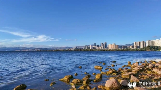 美丽中国丨邂逅洱海的夏日时光