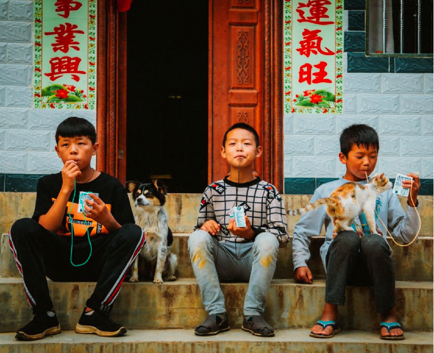 9-鹊落小学的孩子们用细细的吸管喝奶