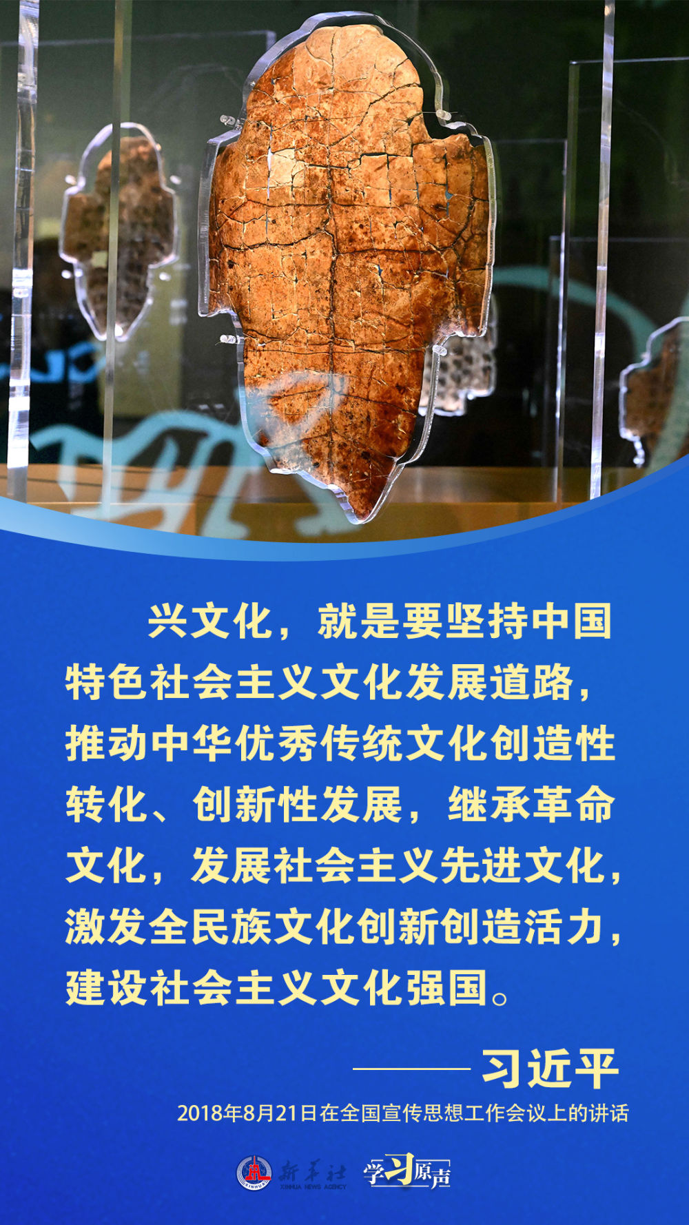 生命力2.jpg 生命力2.jpg