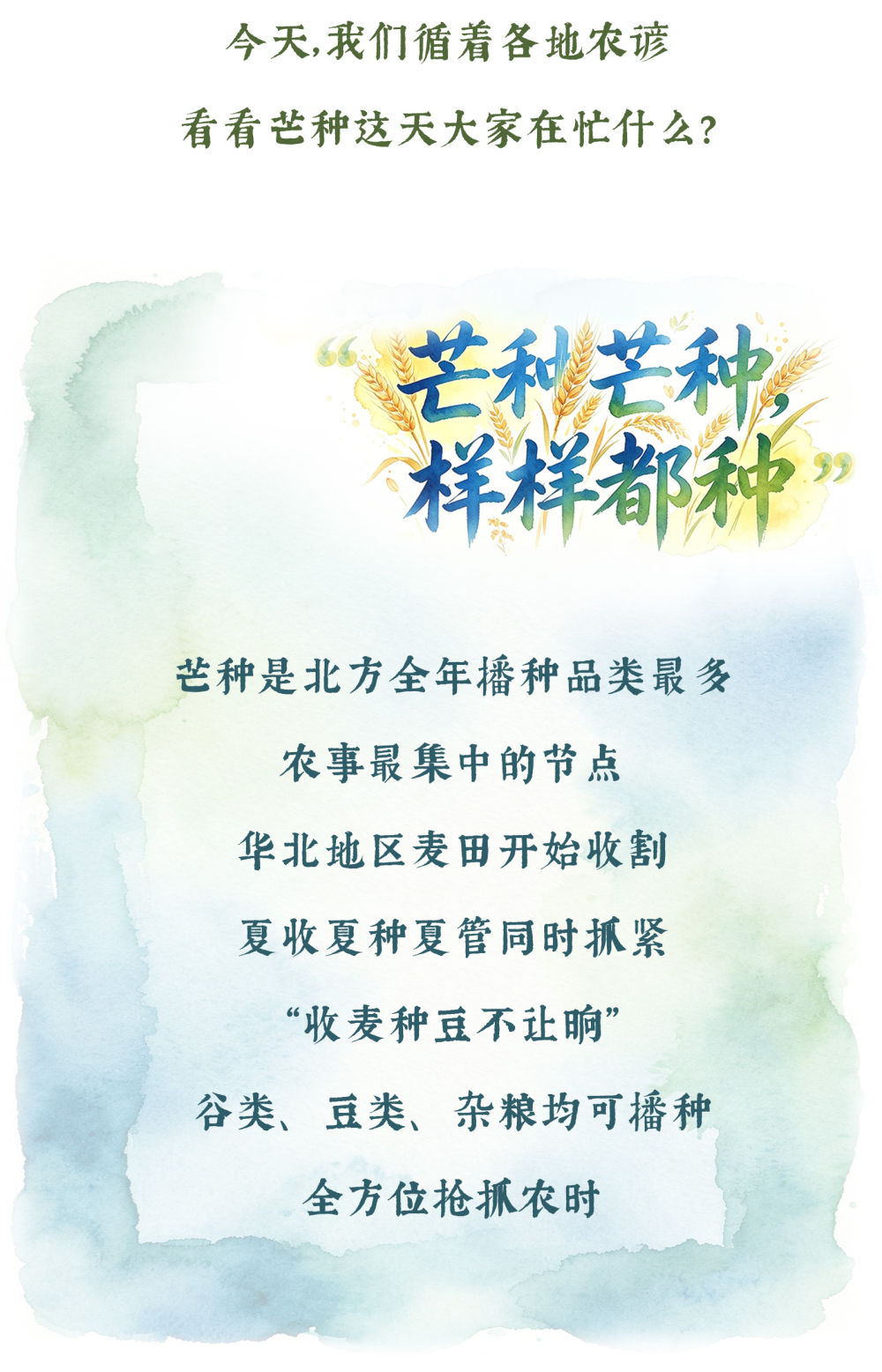 20260605958b626582d141b894a89a1e026c0960_202606050af8e0705b2d4665b8a2ebcf25a938f0