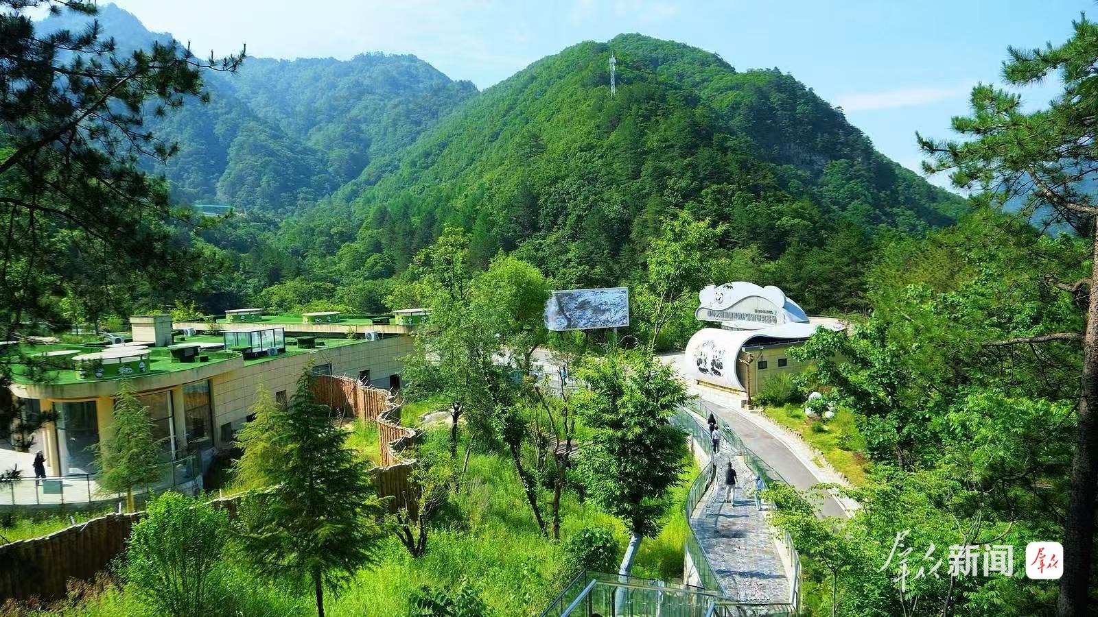 秦岭大熊猫佛坪救护繁育研究基地。