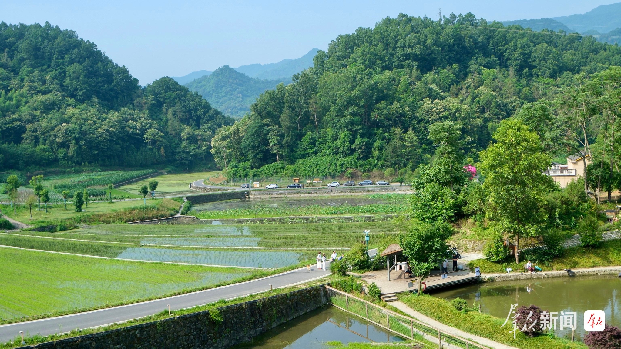 “朱鹮小村”里,田园如画。