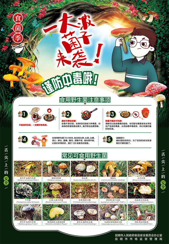 5.食用野生菌中毒防控宣传海报——食用野生菌注意事项 5.食用野生菌中毒防控宣传海报——食用野生菌注意事项