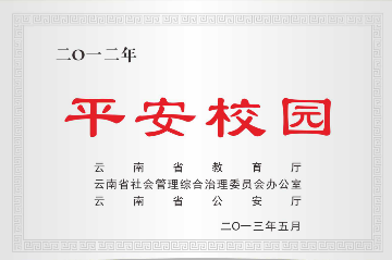 12.平安校园 12.平安校园