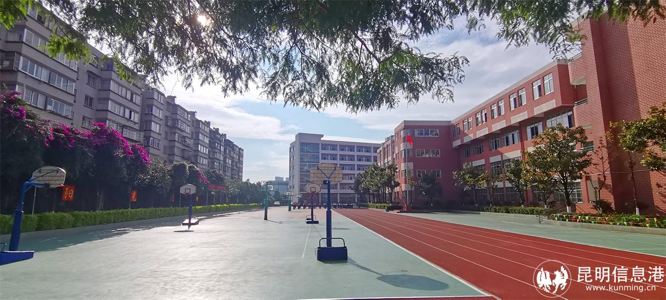 学校运动场 学校运动场
