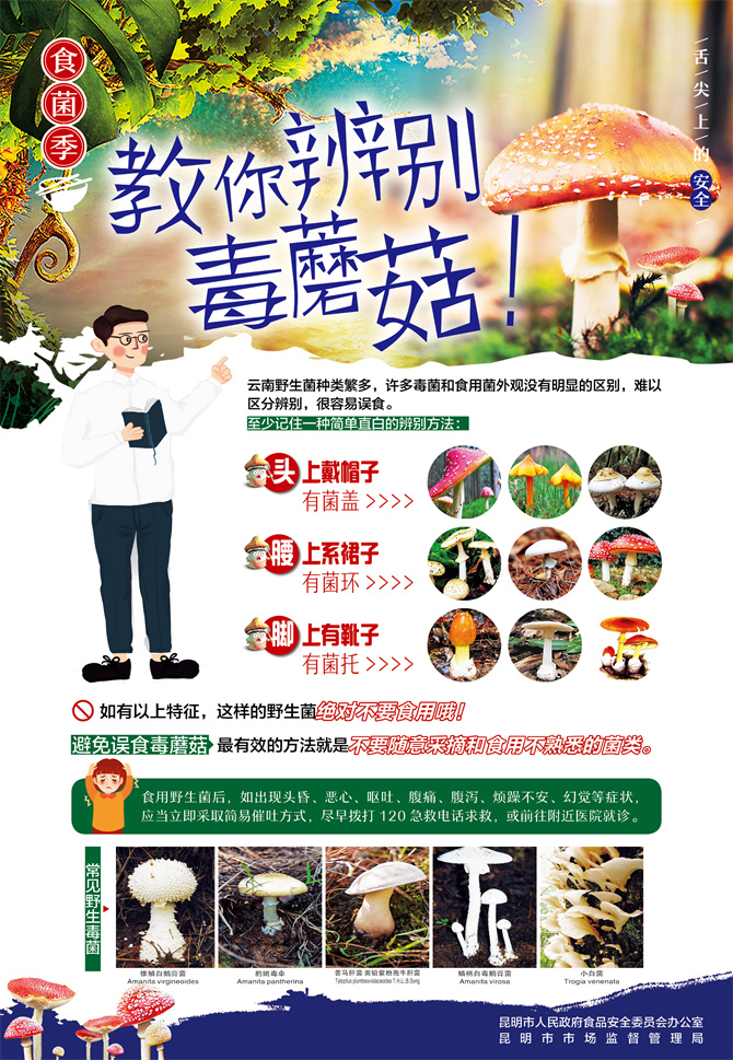 6.食用野生菌中毒防控宣传海报——教你识别毒蘑菇 6.食用野生菌中毒防控宣传海报——教你识别毒蘑菇