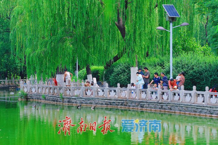 城市湖畔生机漾 邂逅人与自然和谐共生之美