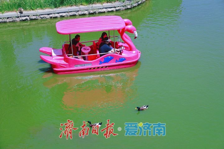 城市湖畔生机漾 邂逅人与自然和谐共生之美