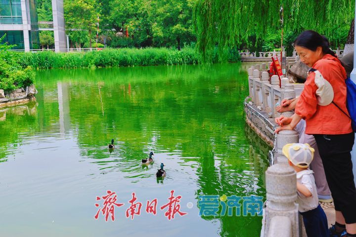城市湖畔生机漾 邂逅人与自然和谐共生之美