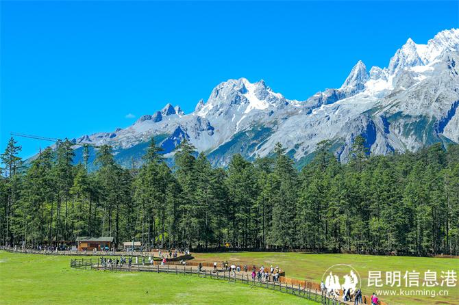 06_游客在玉龙雪山云杉坪游览 06_游客在玉龙雪山云杉坪游览