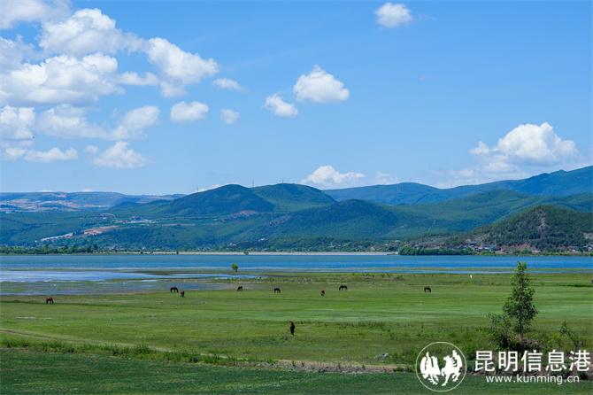 08拉市海湿地公园风光如画 08拉市海湿地公园风光如画