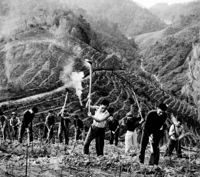 1974—1975年,数以万计党员干部、青年民兵自备生产工具,凭着坚韧毅力锄战岳山。资料图片 1974—1975年,数以万计党员干部、青年民兵自备生产工具,凭着坚韧毅力锄战岳山。资料图片