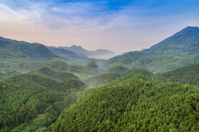 如今,岳山造林光荣传统激励着一代代肇庆人对绿色的热爱与追求。伍尚慧摄 如今,岳山造林光荣传统激励着一代代肇庆人对绿色的热爱与追求。伍尚慧摄