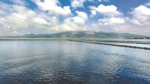 滇池水生态修复赋能“湖滨春城、山水花都”建设