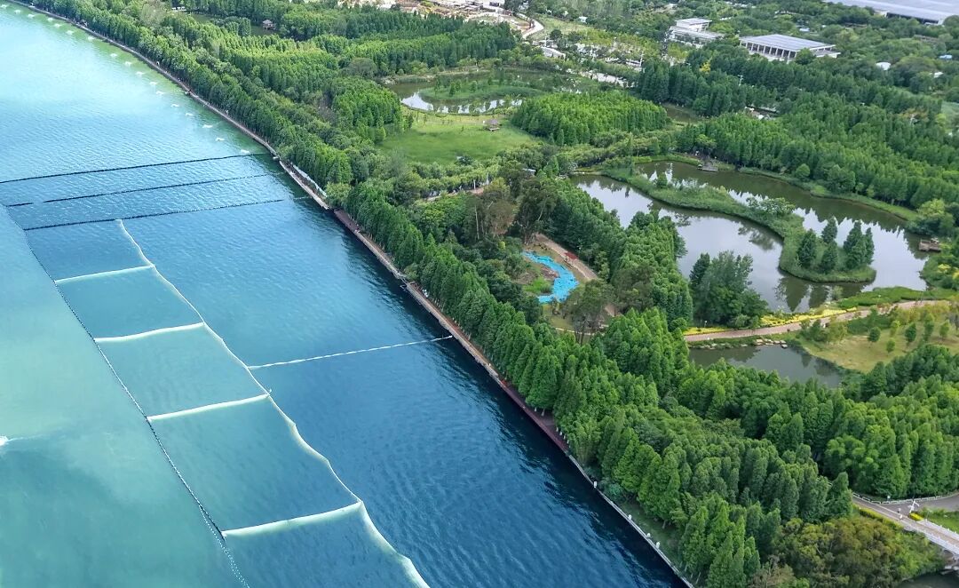 滇池外海北岸湖内生态修复试验示范区记者王俊星摄-9.jpg