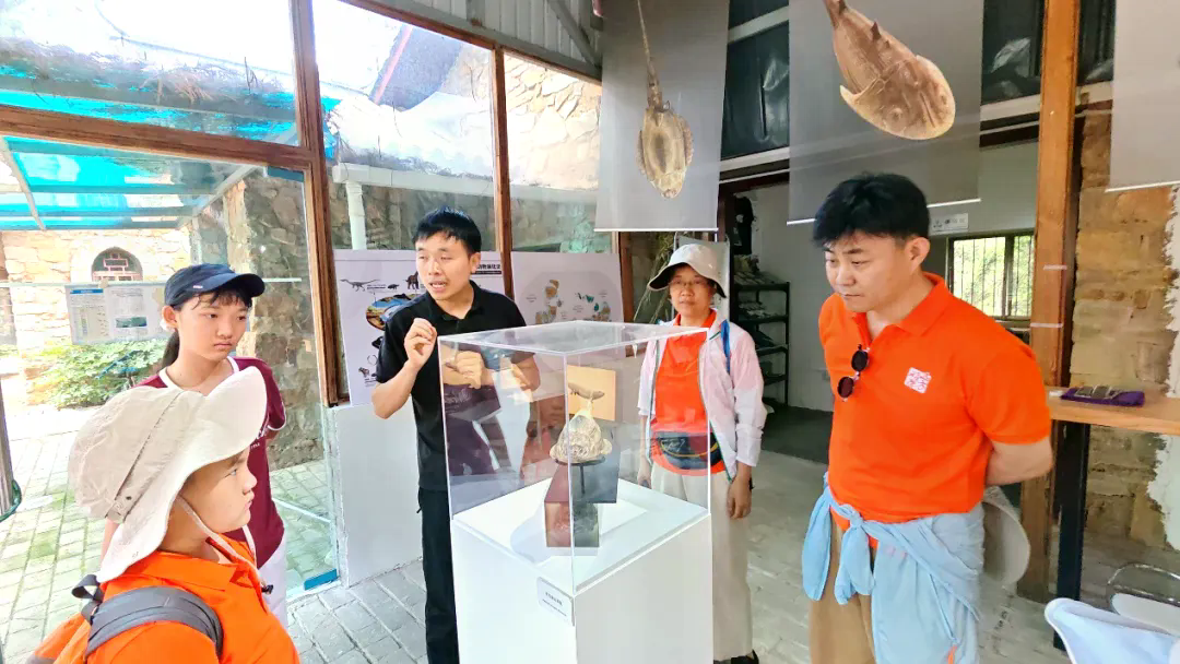 图片28.png