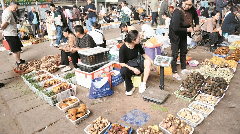 感受最接地气的“有一种叫云南的生活” 昆明菜市场蘑力四射