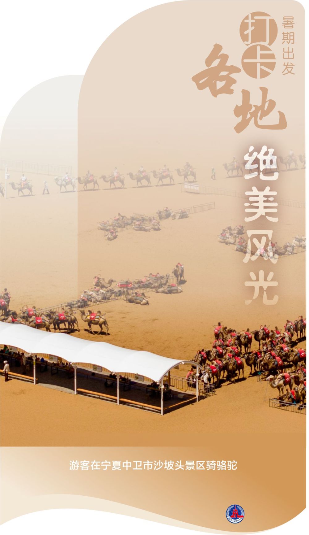 打卡10 打卡10