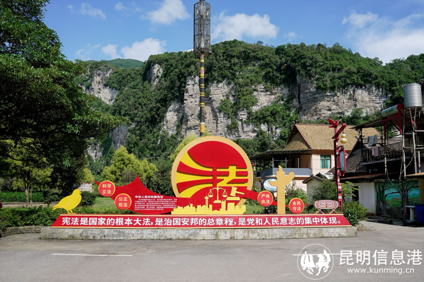 图片3 图片3