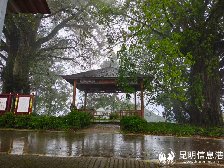 图片1 图片1