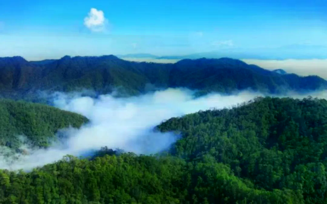 刘悦宁.jpg