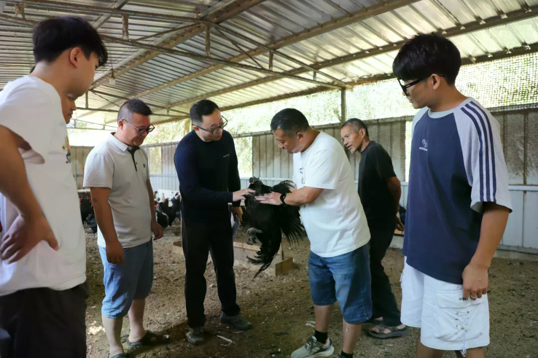 中国移动云南公司驻芭蕉村工作队员到智慧养殖点走访了解情况(2026.8.10张拯平摄).JPG