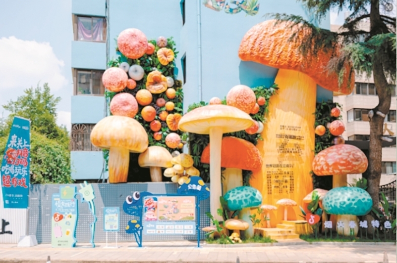 “烟火春城·昆明菌子节”关上食菌季启动