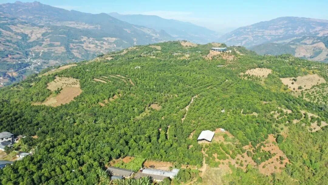 640 (1).jpg