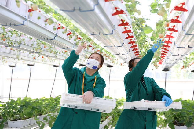 图片4 图片4