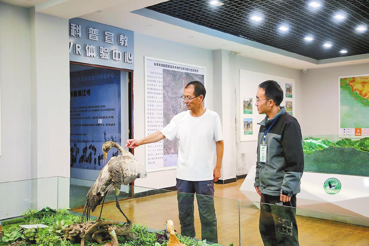 会泽“鹤痴”王高祥：用镜头定格优雅 以热爱守护自然