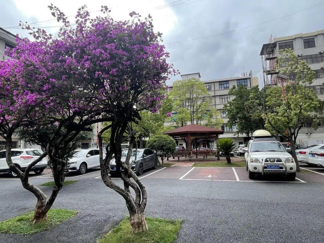 州国税小区