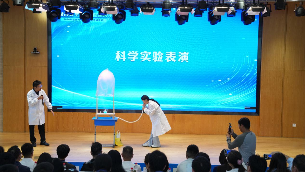 图片8