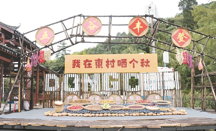 春城大地尽丰收