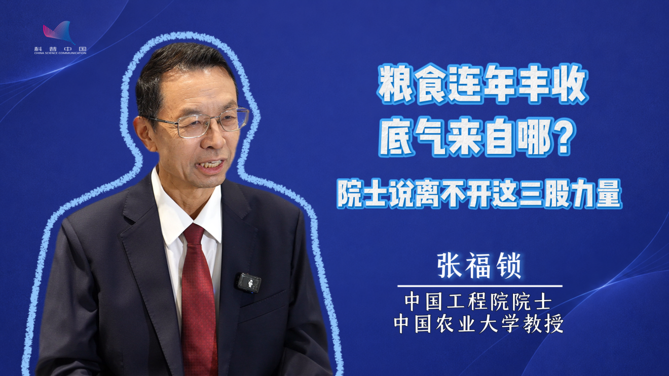 丰收密码|粮食连年丰收,底气来自哪? 丰收密码|粮食连年丰收,底气来自哪?
