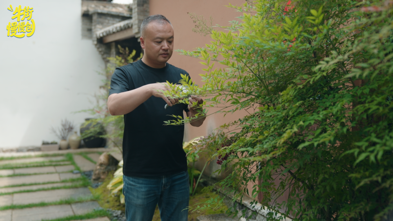 图片1 图片1