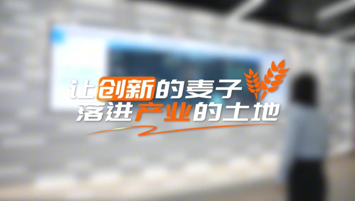 【理响中国·领航未来】让创新的麦子，落进产业的土地