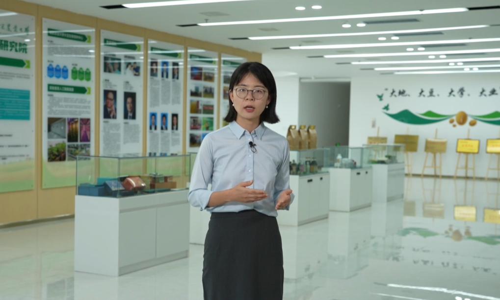 【理响中国·领航未来】让创新的麦子，落进产业的土地