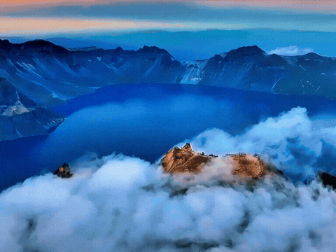 1000114959.gif 1000114959.gif