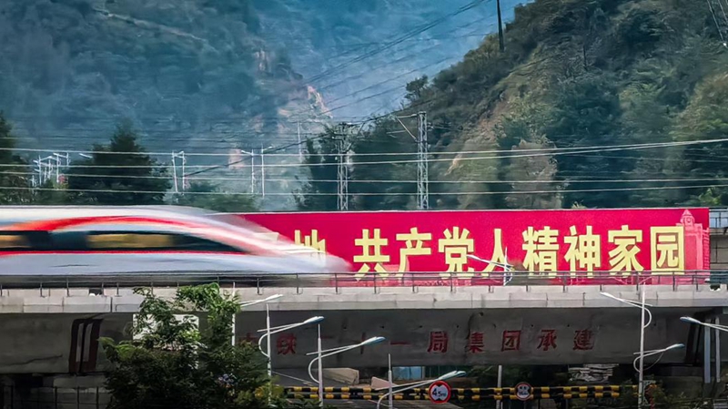 G3997次智能动车组列车快速通过高架桥梁。熊国栋摄