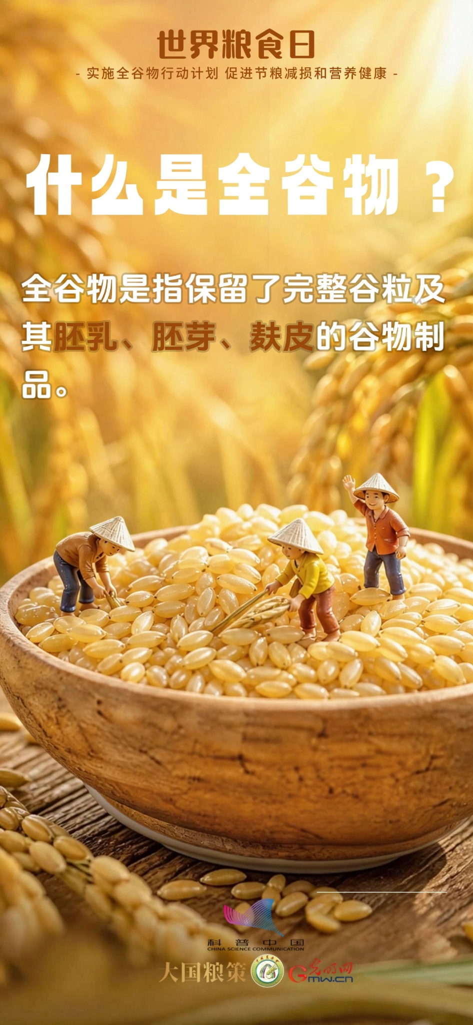 科普海报|别只吃精米白面!全谷物了解一下 科普海报|别只吃精米白面!全谷物了解一下