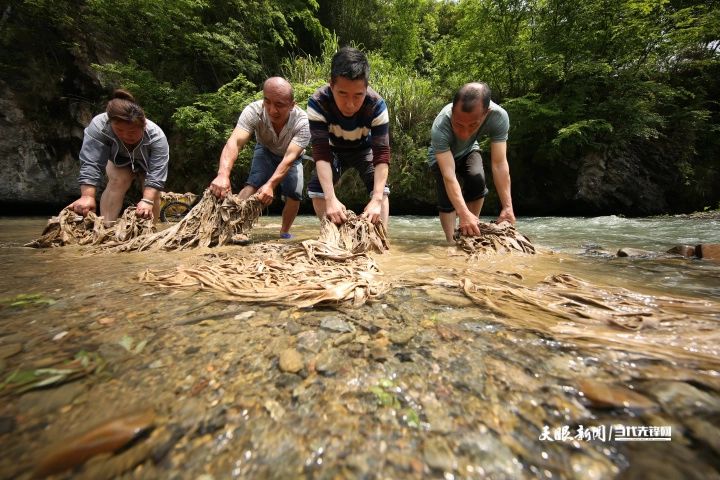 在贵州省丹寨县南皋乡石桥村，王兴武（右二）和工匠们在河里清洗造纸原料。.JPG