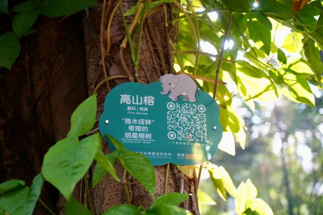 在西双版纳孔雀胡公园内的悬挂的标识牌(杨林凯摄).jpg